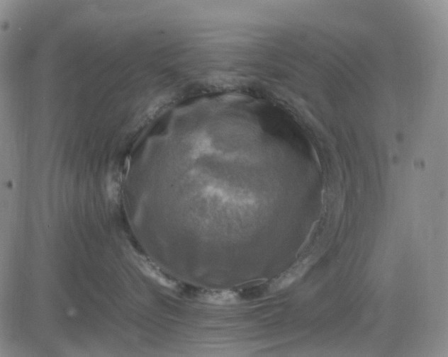 X0000083560576200702231607