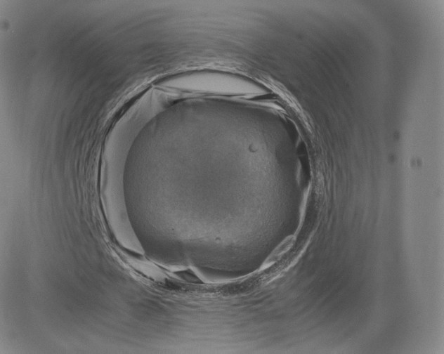 X0000083560577200702231606