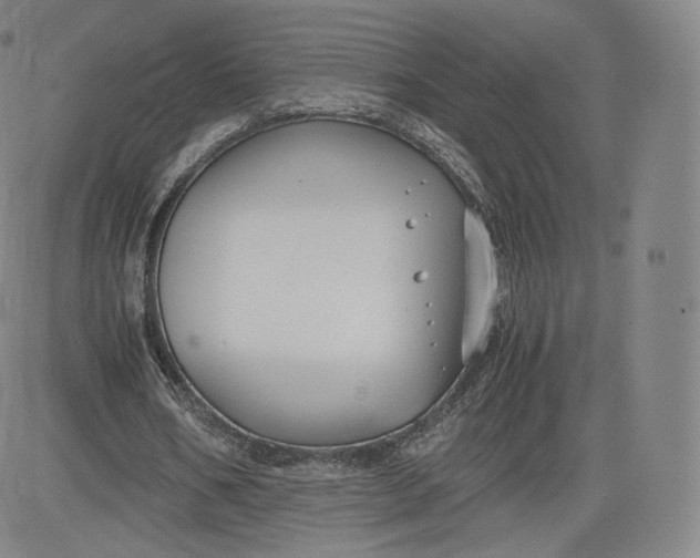 X0000083560578200702231606