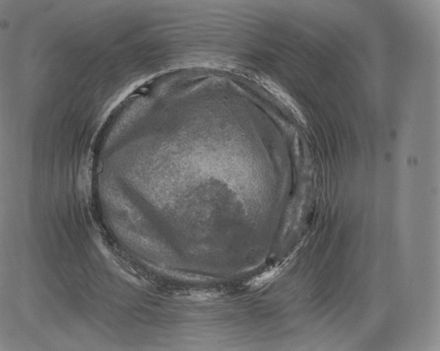 X0000083560580200702231606