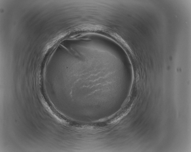 X0000083560581200702231606