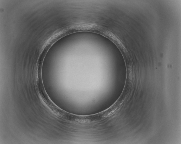 X0000083560582200702231606