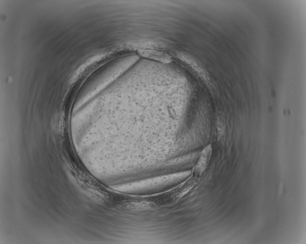 X0000083560583200702231606