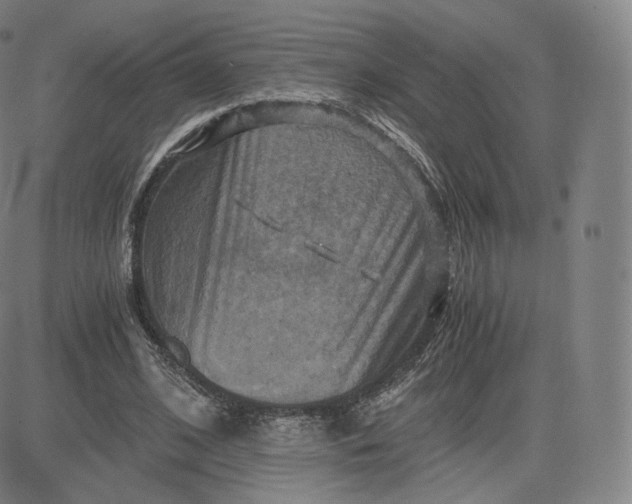 X0000083560584200702231606