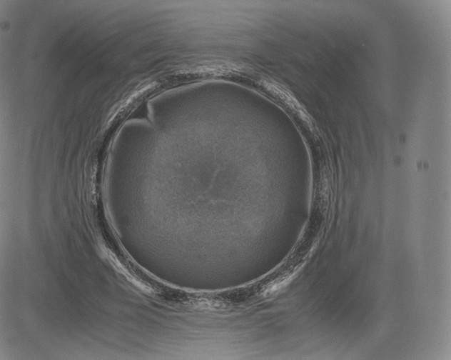 X0000083560585200702231606