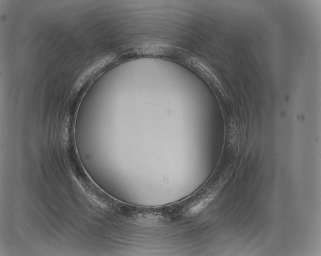 X0000083560586200702231606