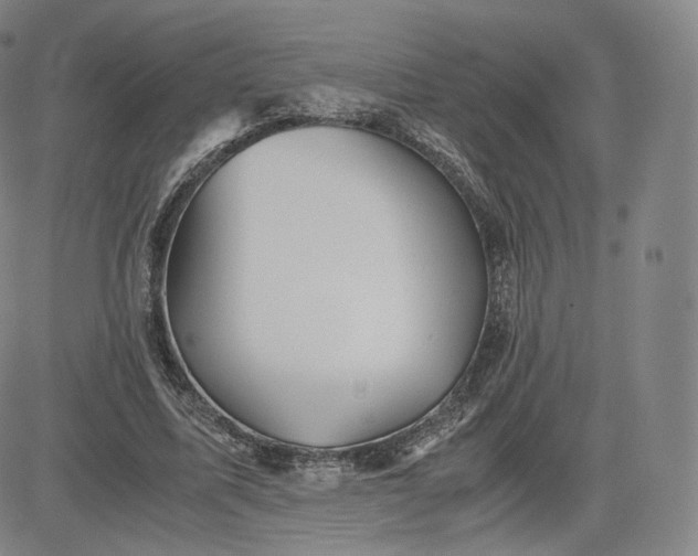 X0000083560587200702231606