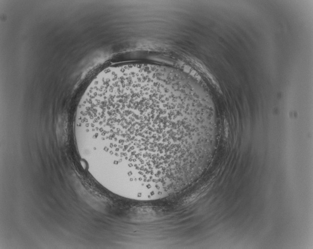 X0000083560588200702231606