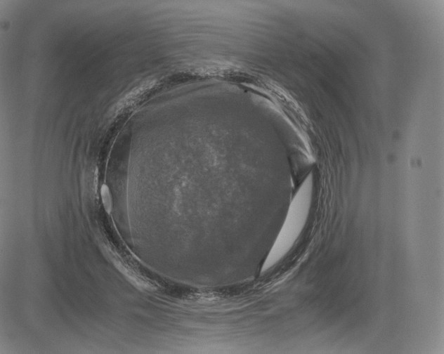 X0000083560589200702231606