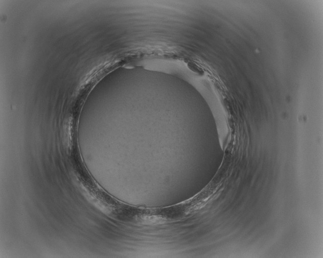 X0000083560590200702231606