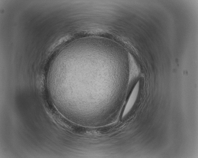 X0000083560591200702231606