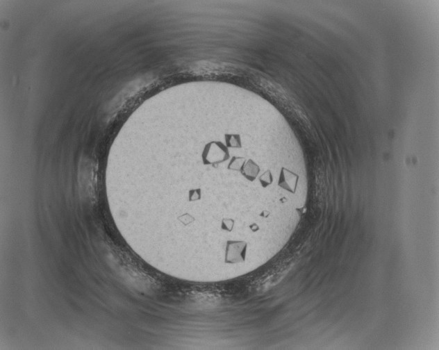 X0000083560592200702231606