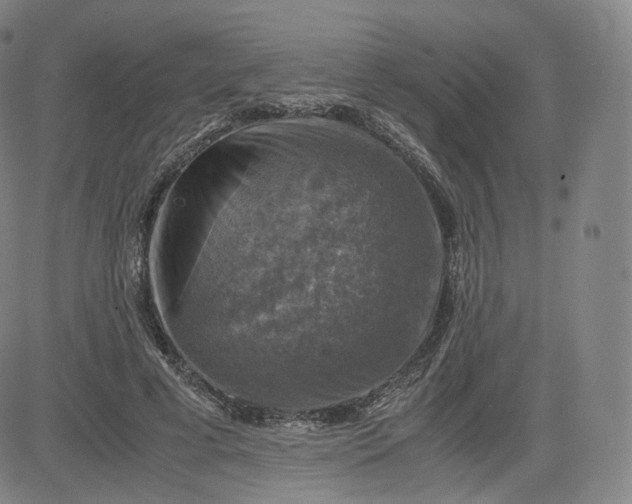 X0000083560593200702231606