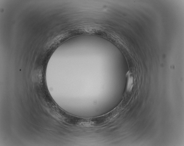 X0000083560595200702231606