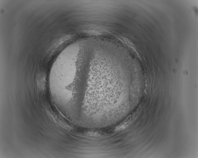 X0000083560596200702231606