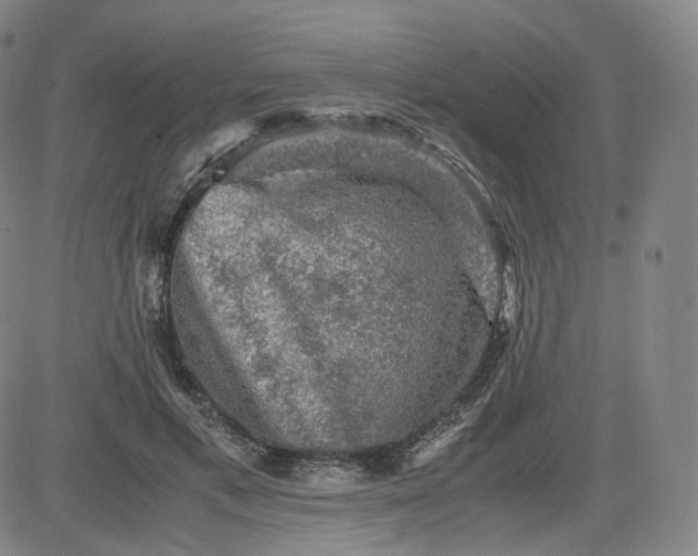 X0000083560597200702231606