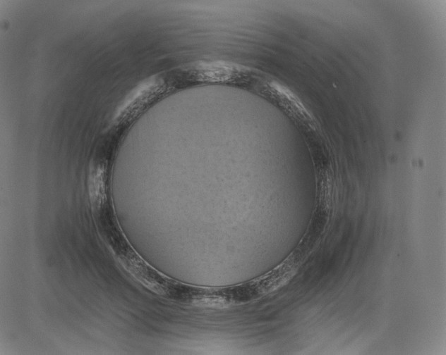 X0000083560598200702231606