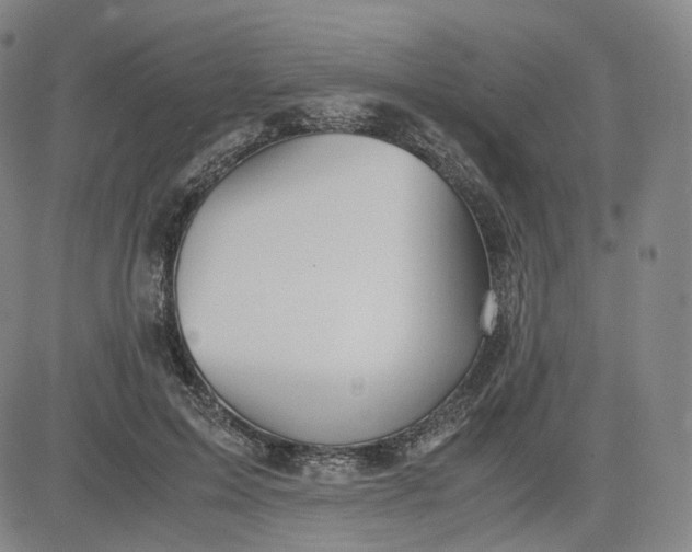 X0000083560599200702231606