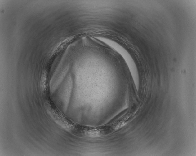 X0000083560600200702231606