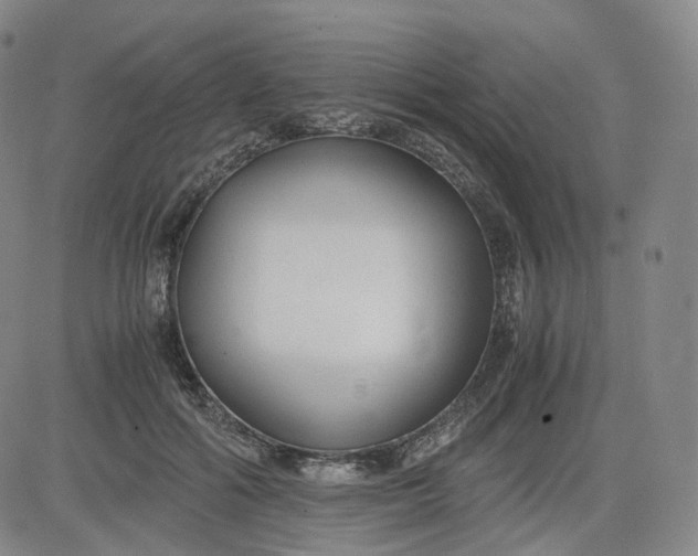 X0000083560602200702231606