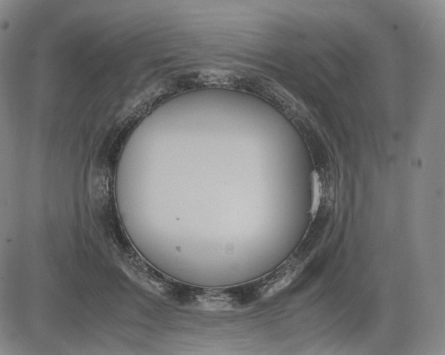 X0000083560603200702231606