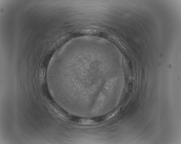 X0000083560605200702231606