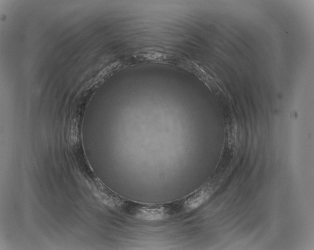 X0000083560606200702231606