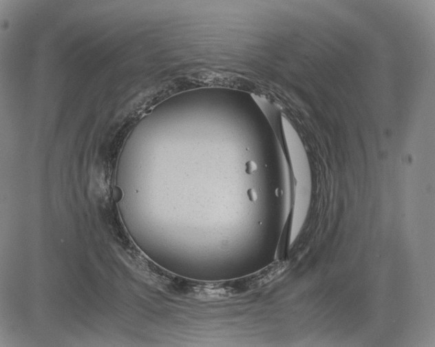 X0000083560607200702231605