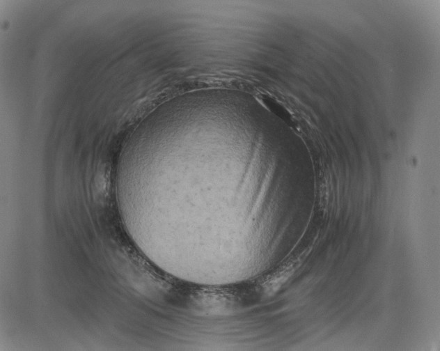 X0000083560608200702231605