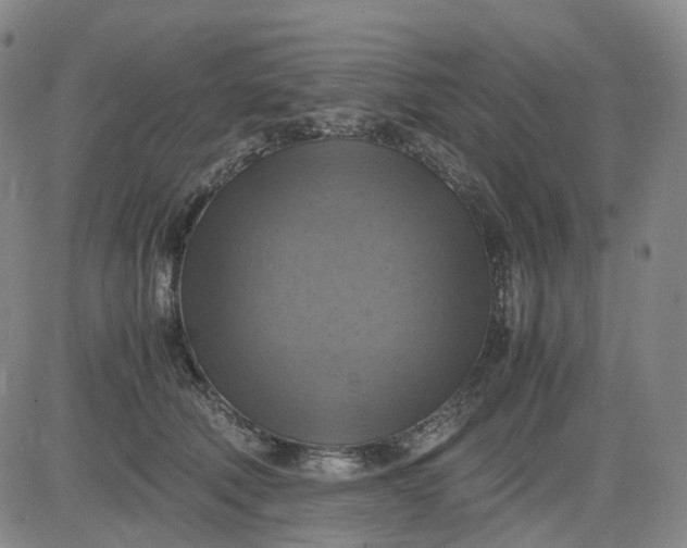 X0000083560610200702231605