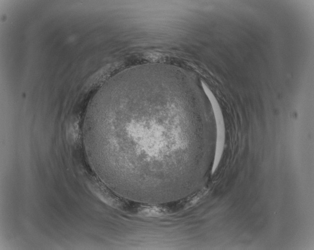 X0000083560611200702231605