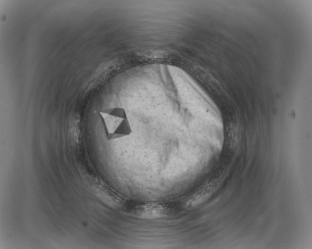 X0000083560612200702231605