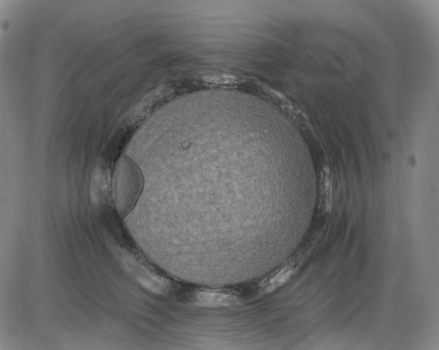 X0000083560614200702231605