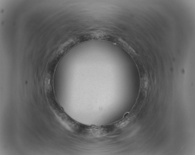 X0000083560615200702231605