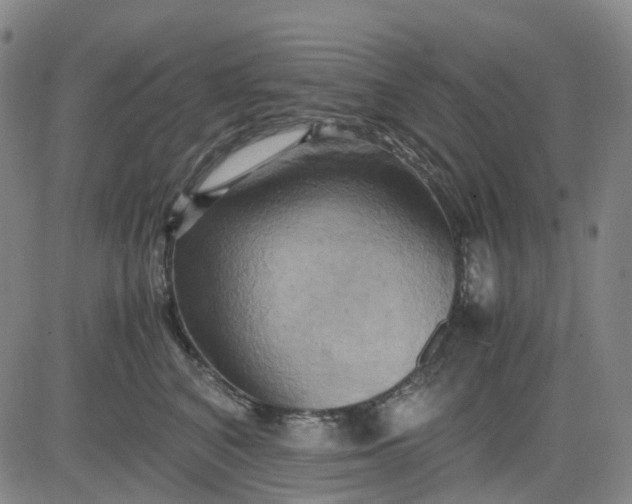 X0000083560616200702231605