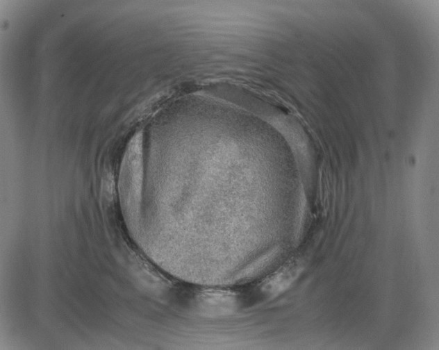 X0000083560617200702231605