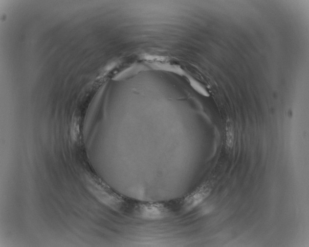 X0000083560618200702231605