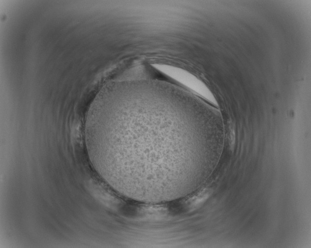 X0000083560619200702231605