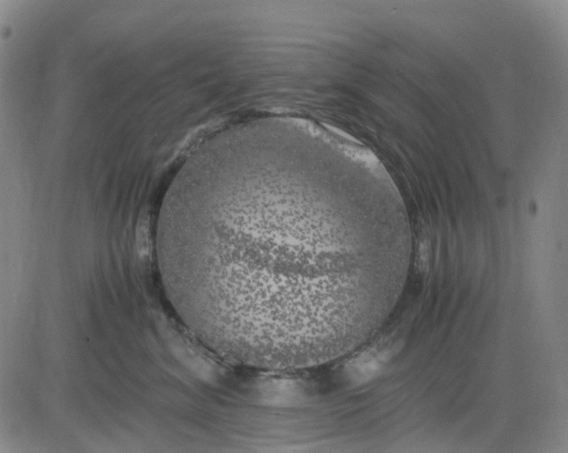 X0000083560620200702231605