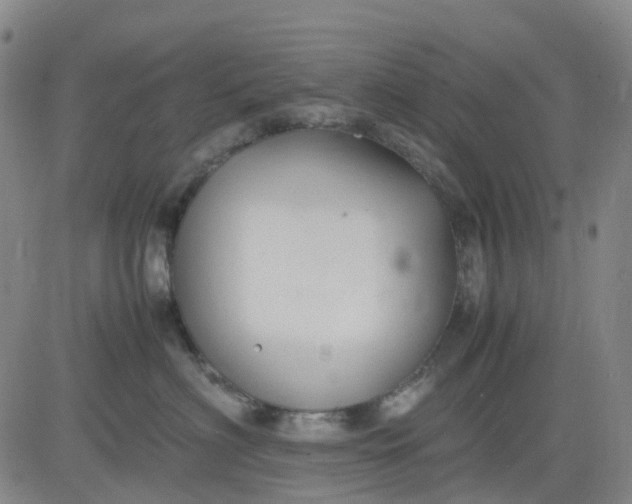 X0000083560622200702231605