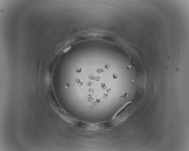 X0000083560623200702231605