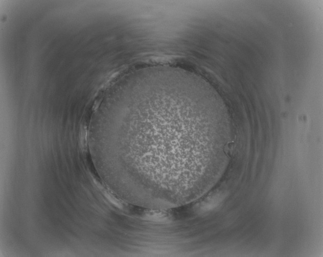 X0000083560624200702231605