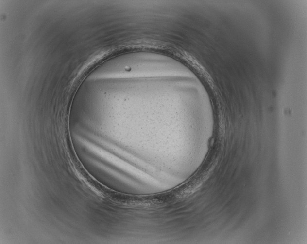 X0000083560625200702231604