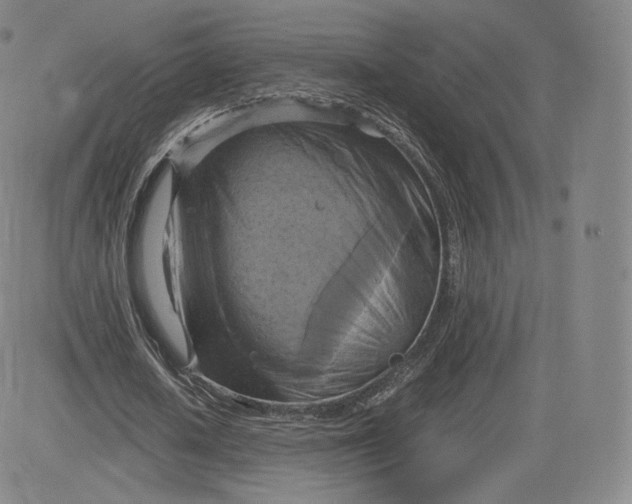 X0000083560626200702231604