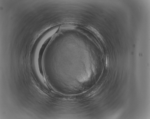 X0000083560627200702231604