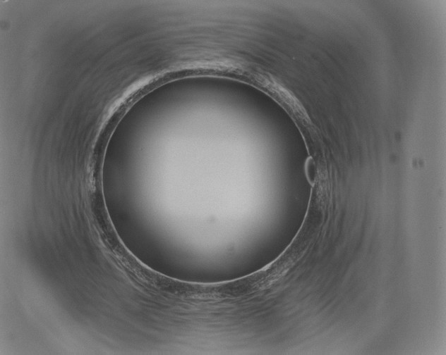 X0000083560628200702231604