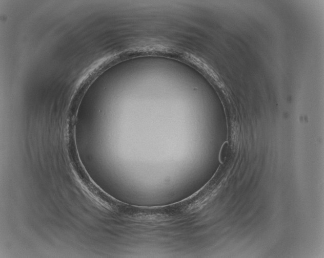 X0000083560629200702231604