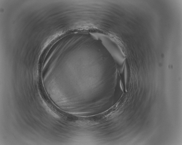 X0000083560630200702231604