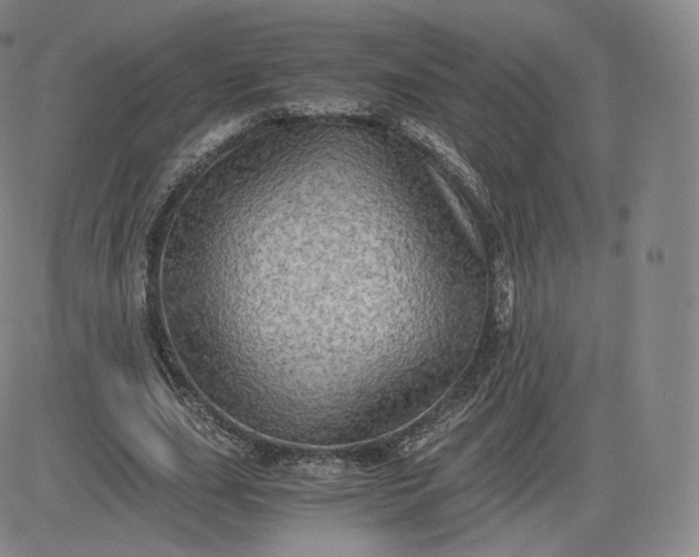 X0000083560631200702231604