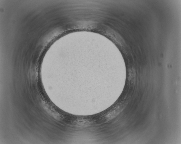 X0000083560632200702231604